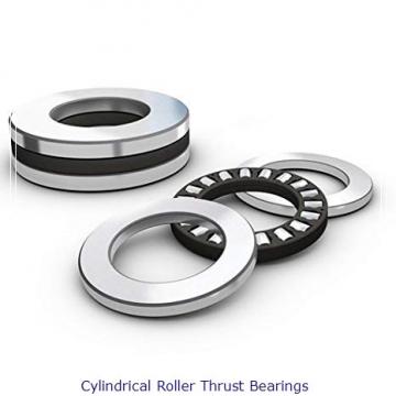 INA RT621 Cylindrical Roller Thrust Bearings