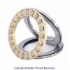 INA 81110-TV Cylindrical Roller Thrust Bearings