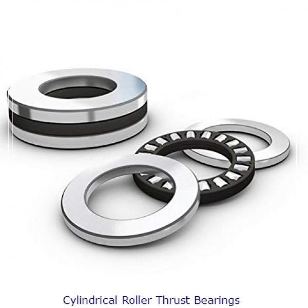 NSK 190RV2704GCG202*0B (Outer Ring) Cylindrical Roller Thrust Bearings #1 image