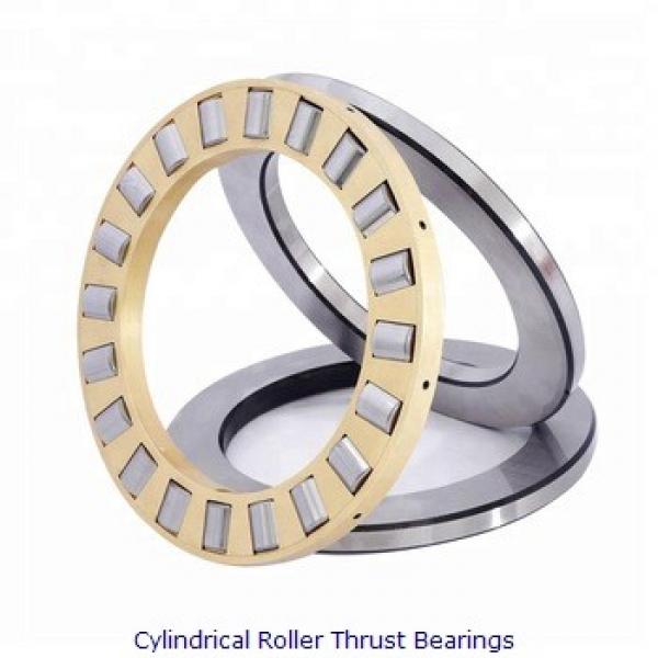 NSK 190RV2704GCG202*B (Inner Ring Assembly) Cylindrical Roller Thrust Bearings #1 image
